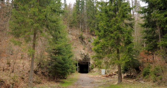 Rajd Świdnicki